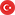 Turkish